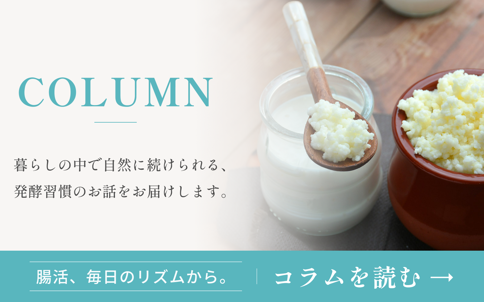 コラムの紹介