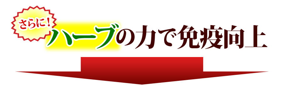 さらに！ハーブの力で免疫向上