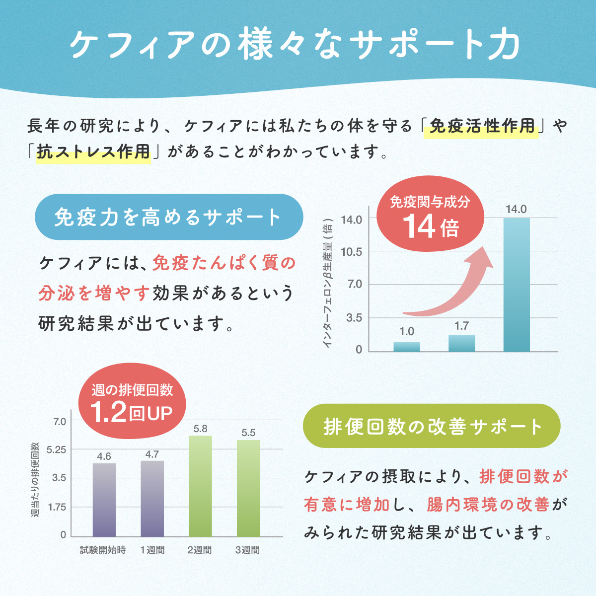 ケフィアの様々なサポート力