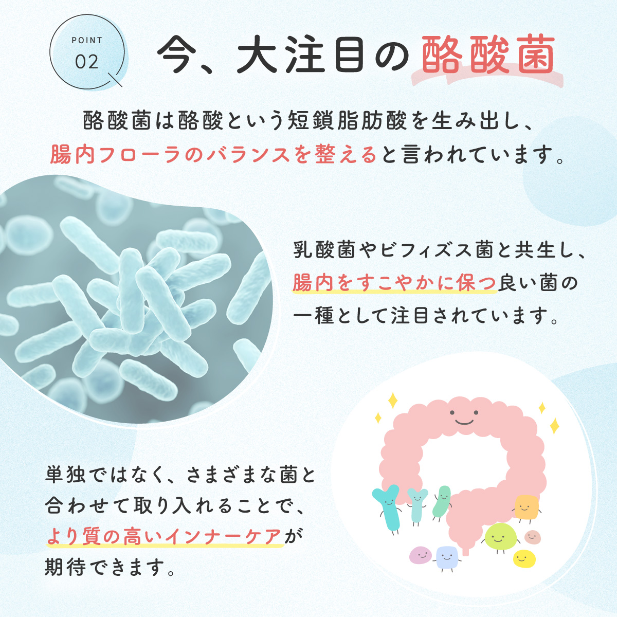 ポイント2今大注目の酪酸菌
