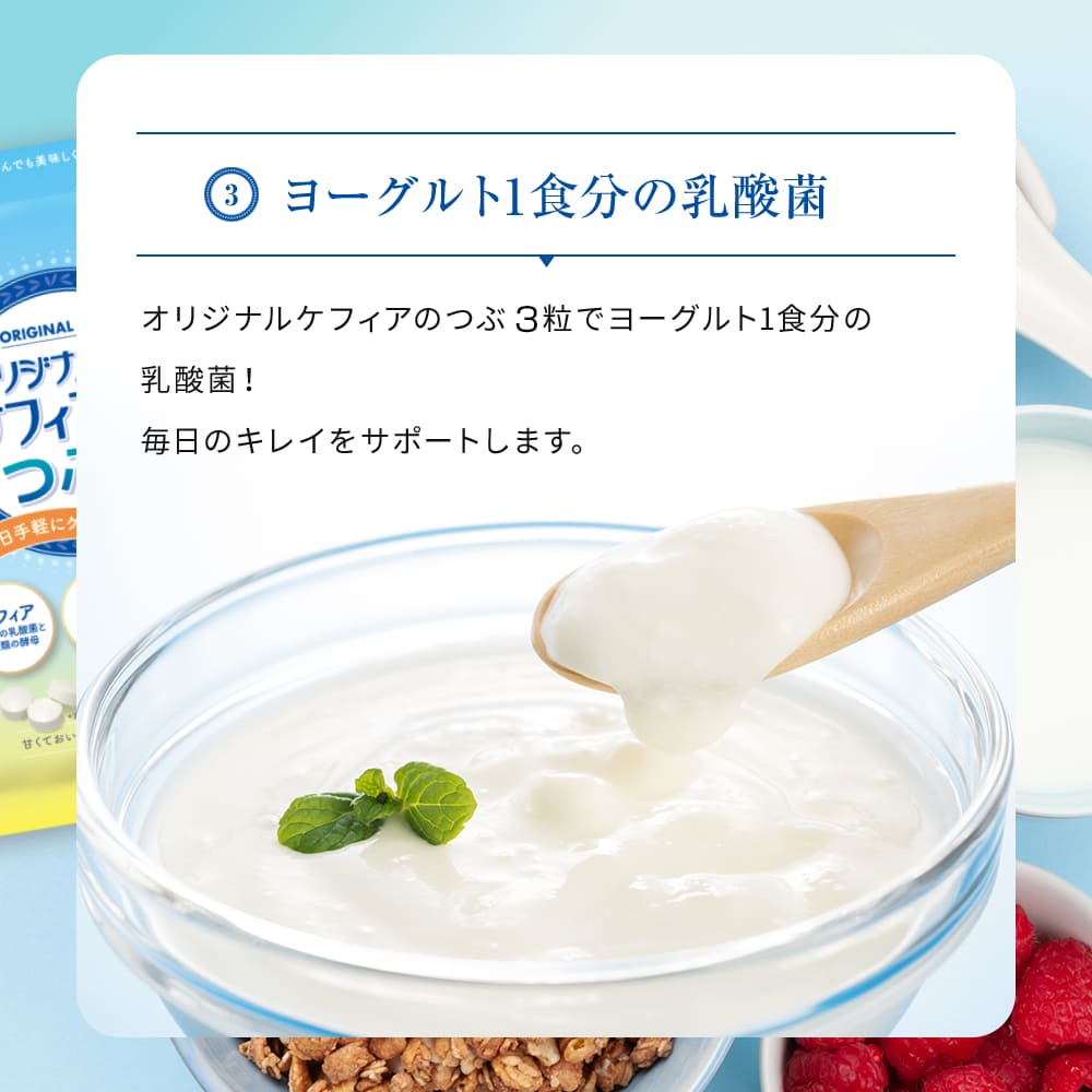 ポイント3ヨーグルト1食分の乳酸菌をケフィアのつぶ3粒で摂れる