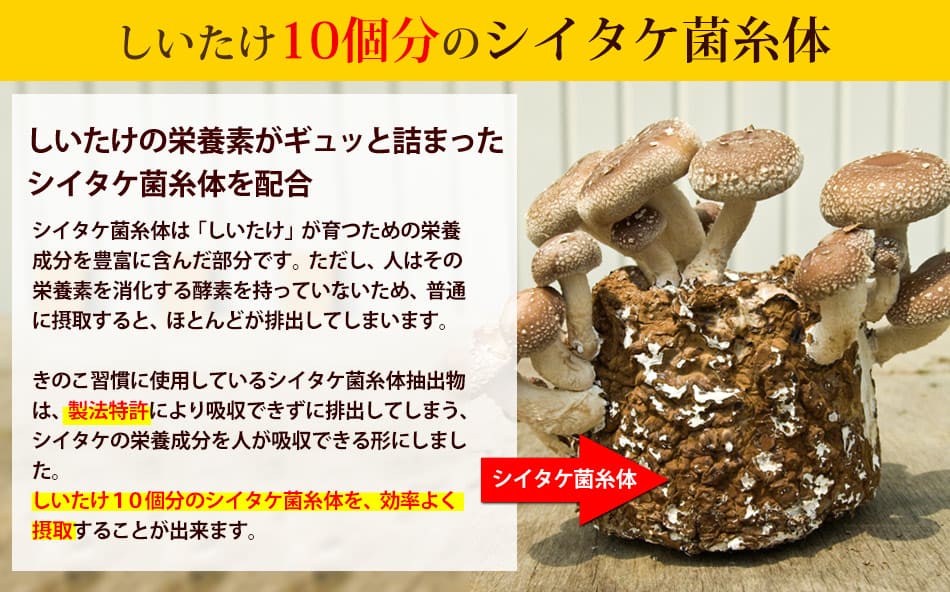 しいたけ10個分のシイタケ菌糸体