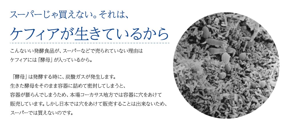 スーパーじゃ買えない。それはケフィアが生きているから。