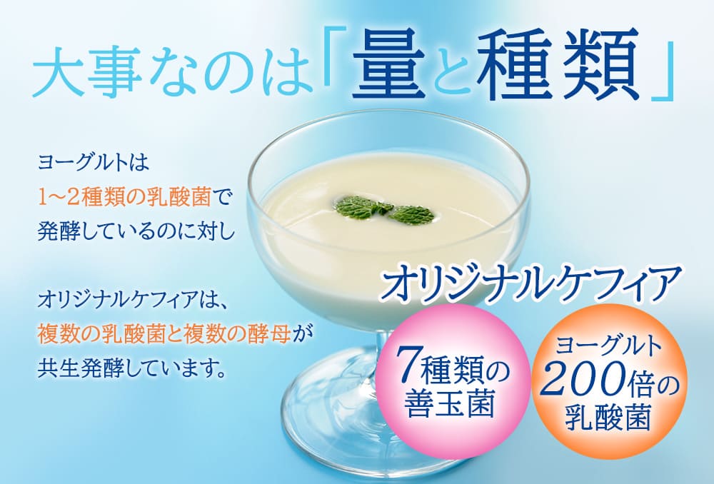 大事なのは「量」と「種類」