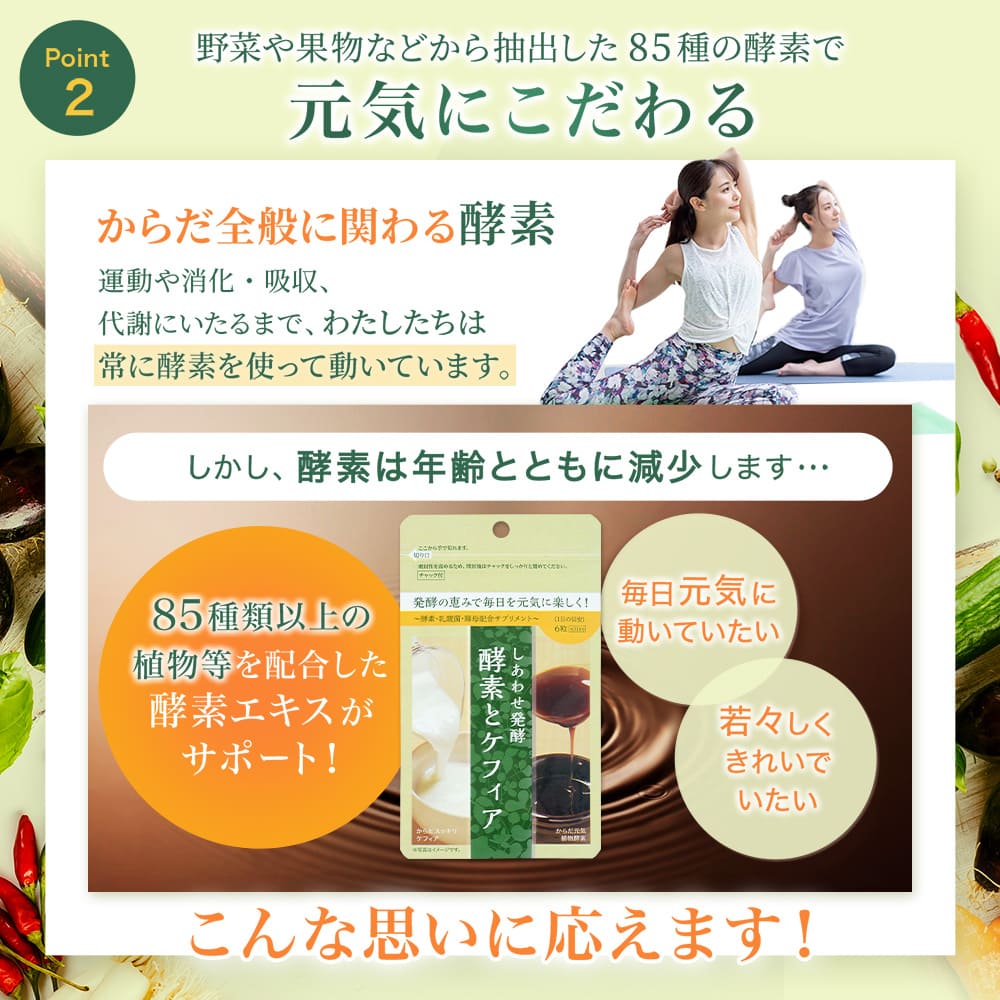 ポイント２．元気にこだわる