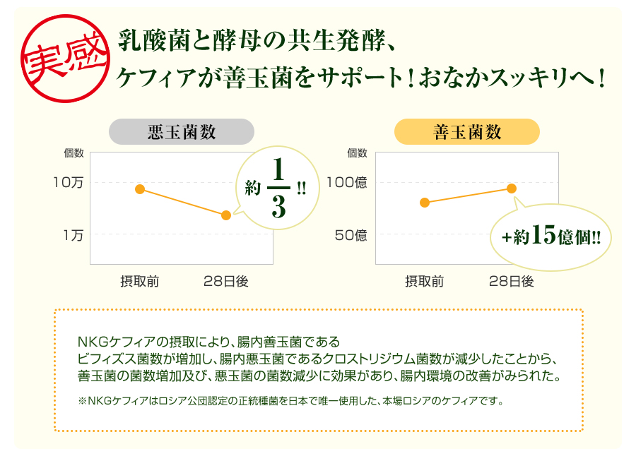 乳酸菌と酵母の共生発酵がおなかスッキリへ