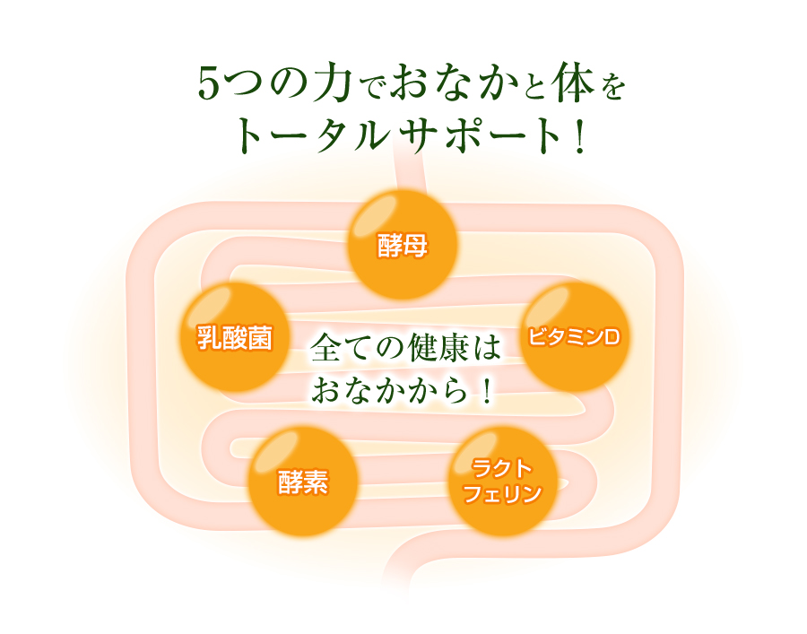 5つの力でおなかと体をトータルサポート！